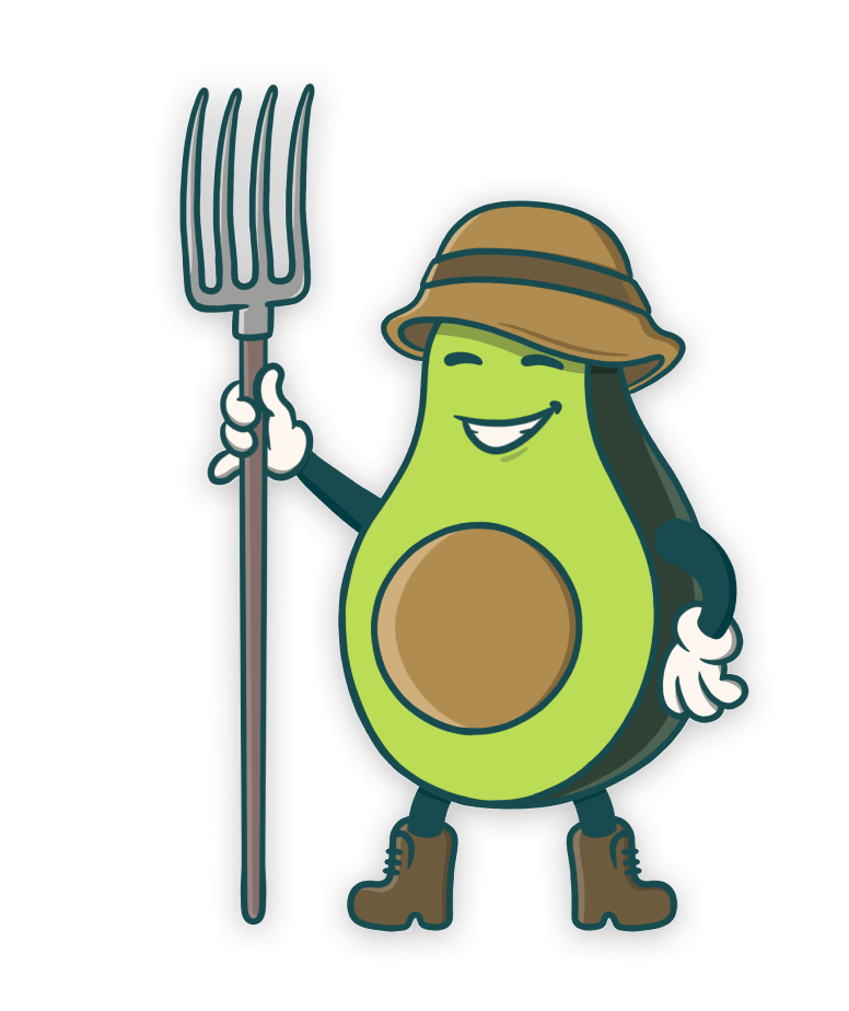 avocado background image